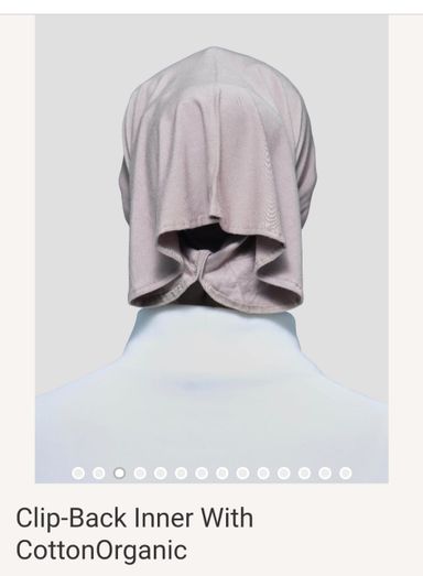 Clip Back Inner