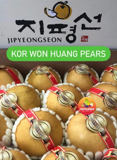KOREA WON HWANG PEARS (XL)