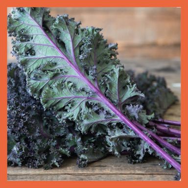 Plucked's Red Curly Kale (200g)