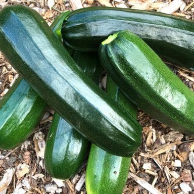Zuccini
