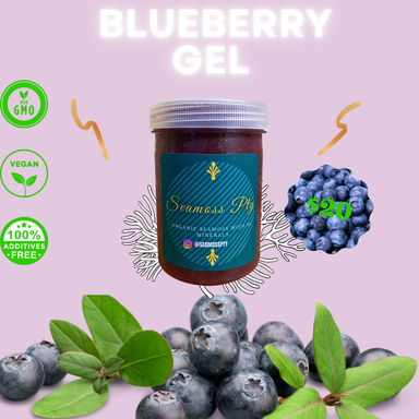 Blueberry Seamoss Gel