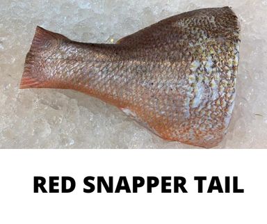 RED SNAPPER TAIL
