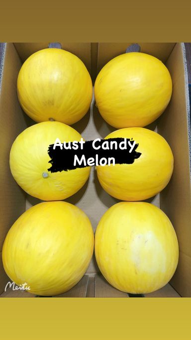 Aust Candy Melon 