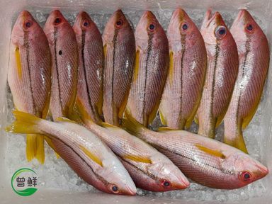 记鱼 Kee Fish