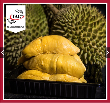 Raub Black Gold MSW Durian 黑金猫山王榴莲