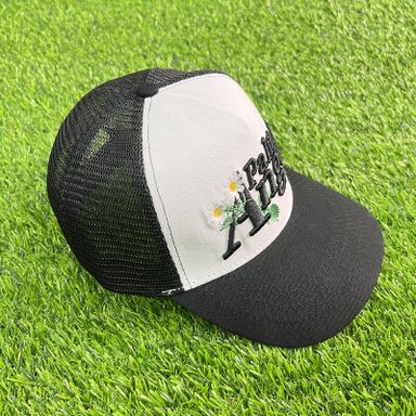 PALM CORP BLACK