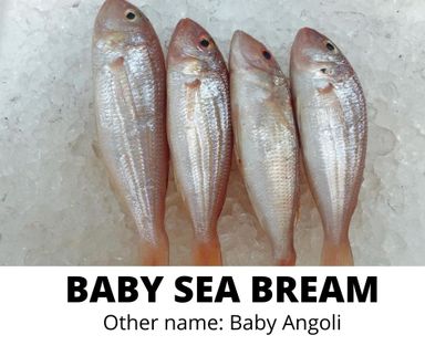 BABY SEA BREAM (BABY ANGOLI)