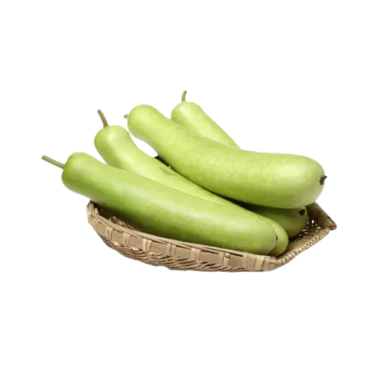 India Bottle Gourd - 600 to 700 GM 