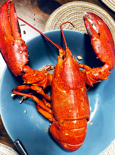 Premium Cooked Boston Lobster (波士顿龙虾)