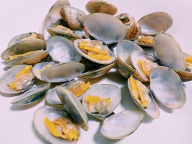 Clams 