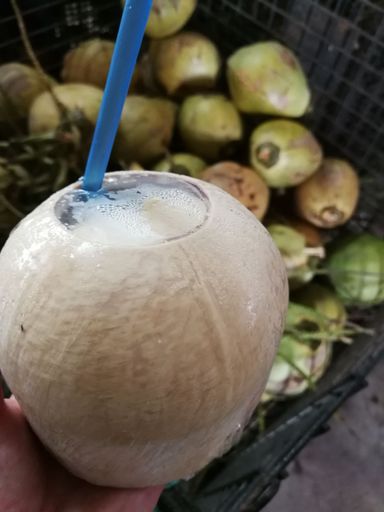 Pre-cut coconut