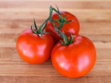 *Tomato* 番茄