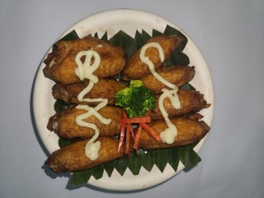 B04瓦萨咪鸡中翅