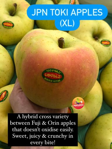 JPN TOKI APPLES (XL)