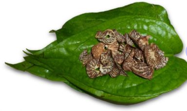 Betel leaves and nuts