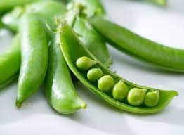 Peas (मटर)