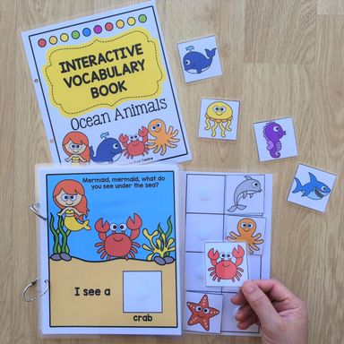Interactive Vocabulary Books Volume 2