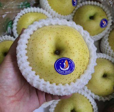 Golden Pear (3 per set)