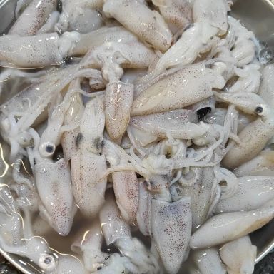 FRESH BABY SQUID