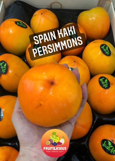 SPAIN KAKI PERSIMMONS (M)
