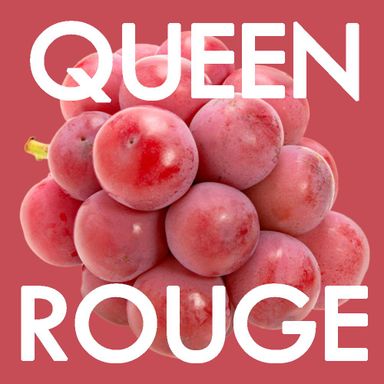 JPN NAGANO QUEEN ROUGE SL GRAPES