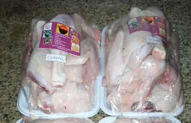 Cockerel chicken