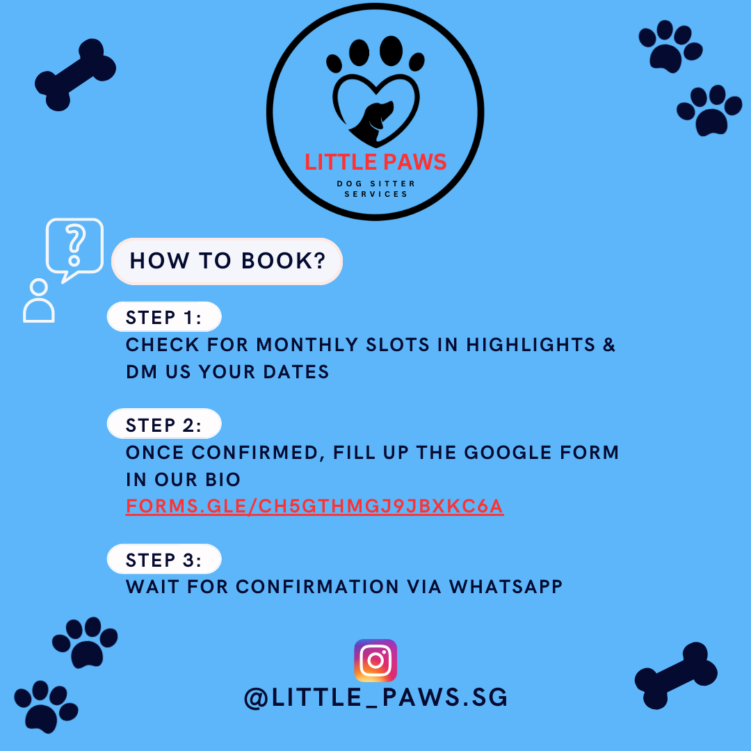 Little Paws Services_5