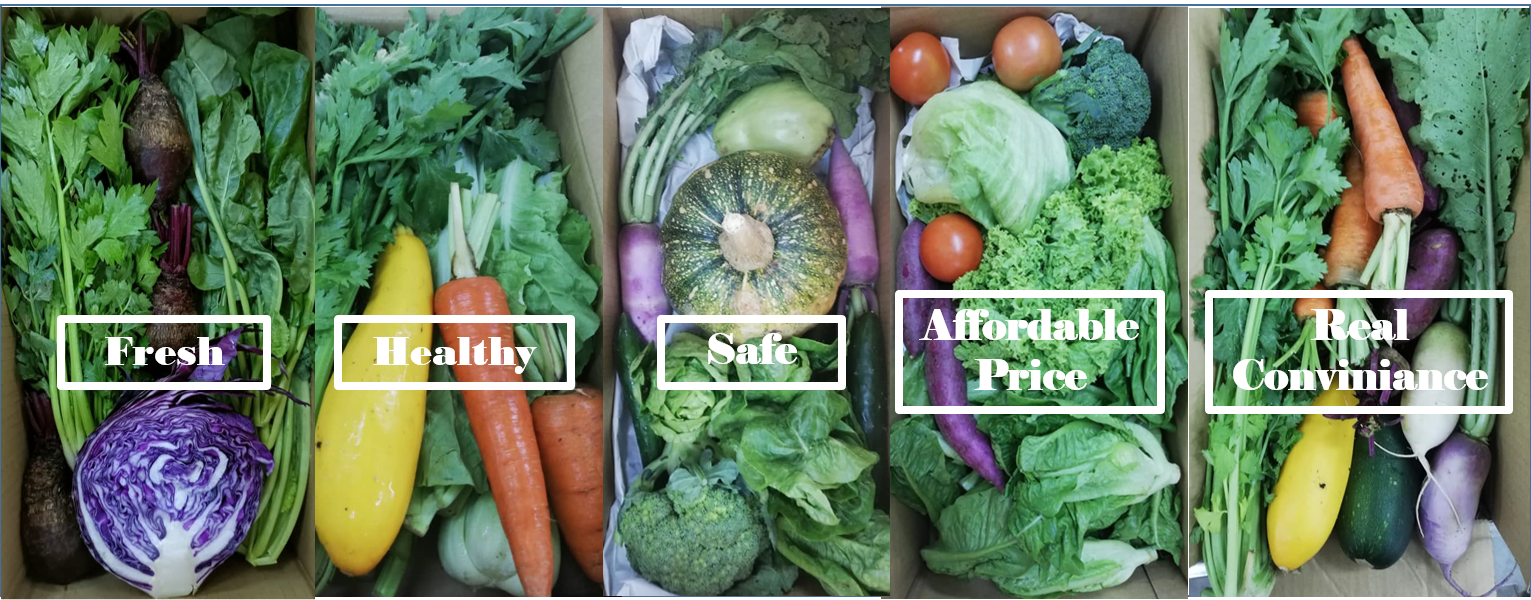 DELIFRESH delivers the FRESH, HEALTHY & SAFE foods that at AFFORDABLE PRICES and at your CONVENIENCE.