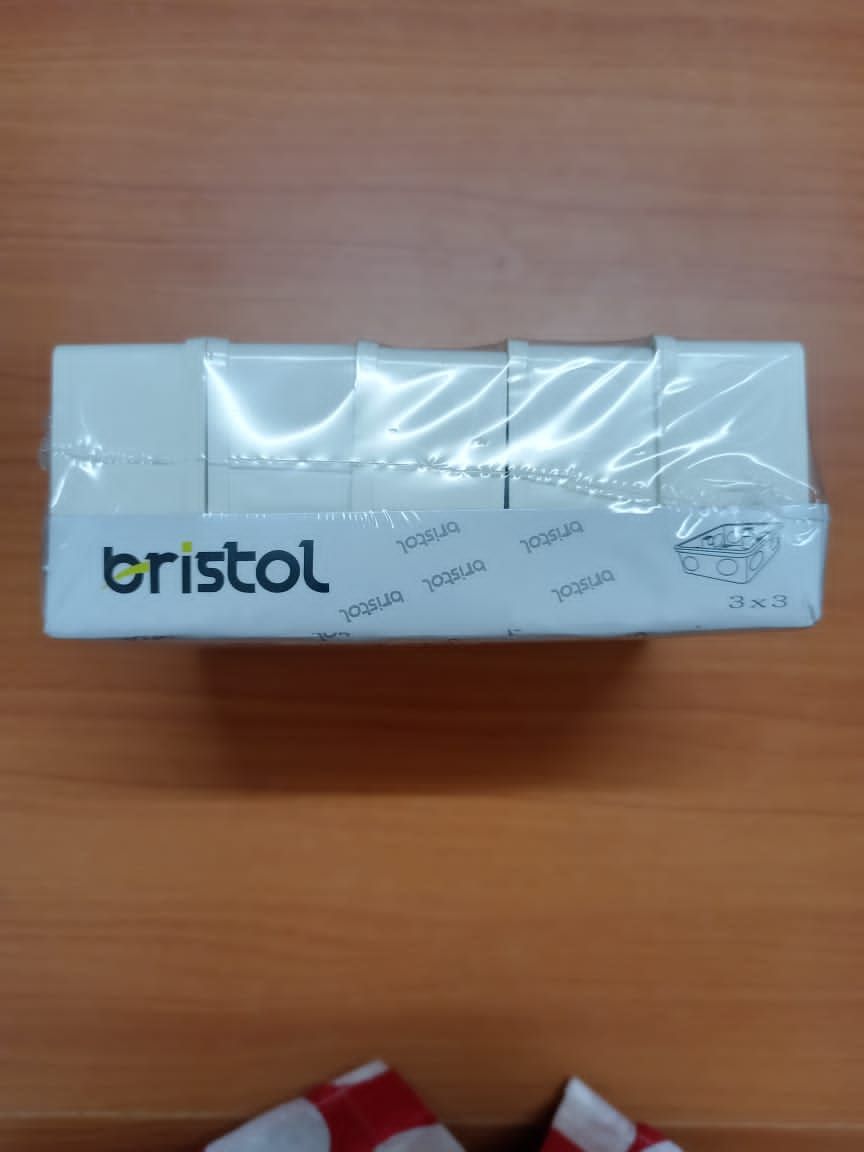 Bristol PVC Conduit Box