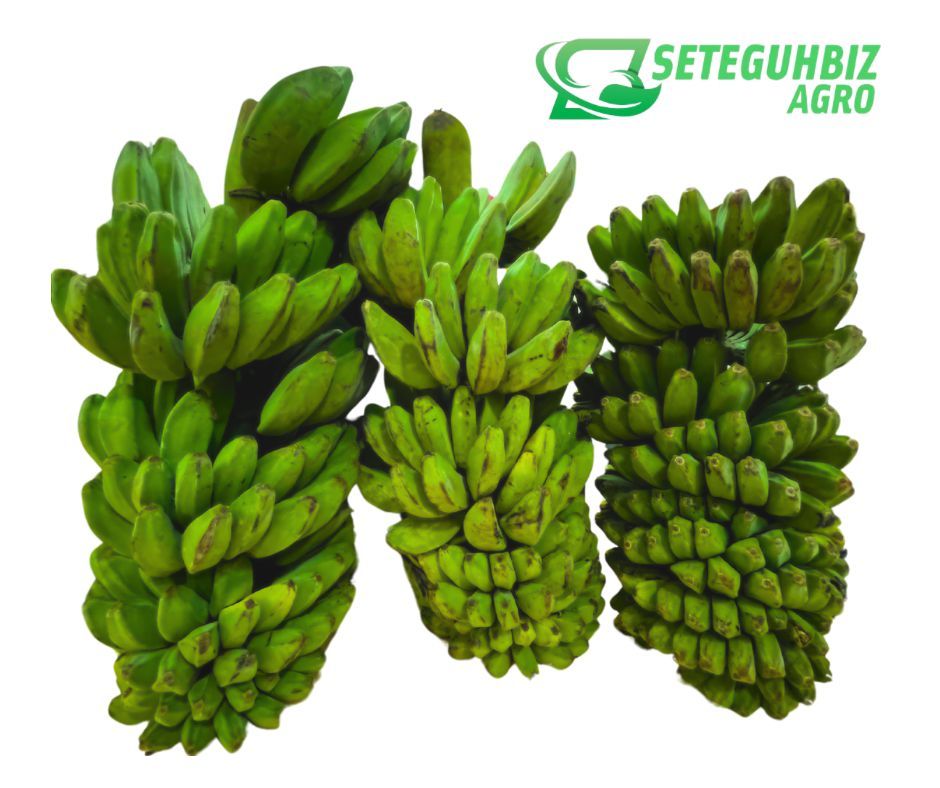 Harga Promosi Pengenalan Pisang Delivery