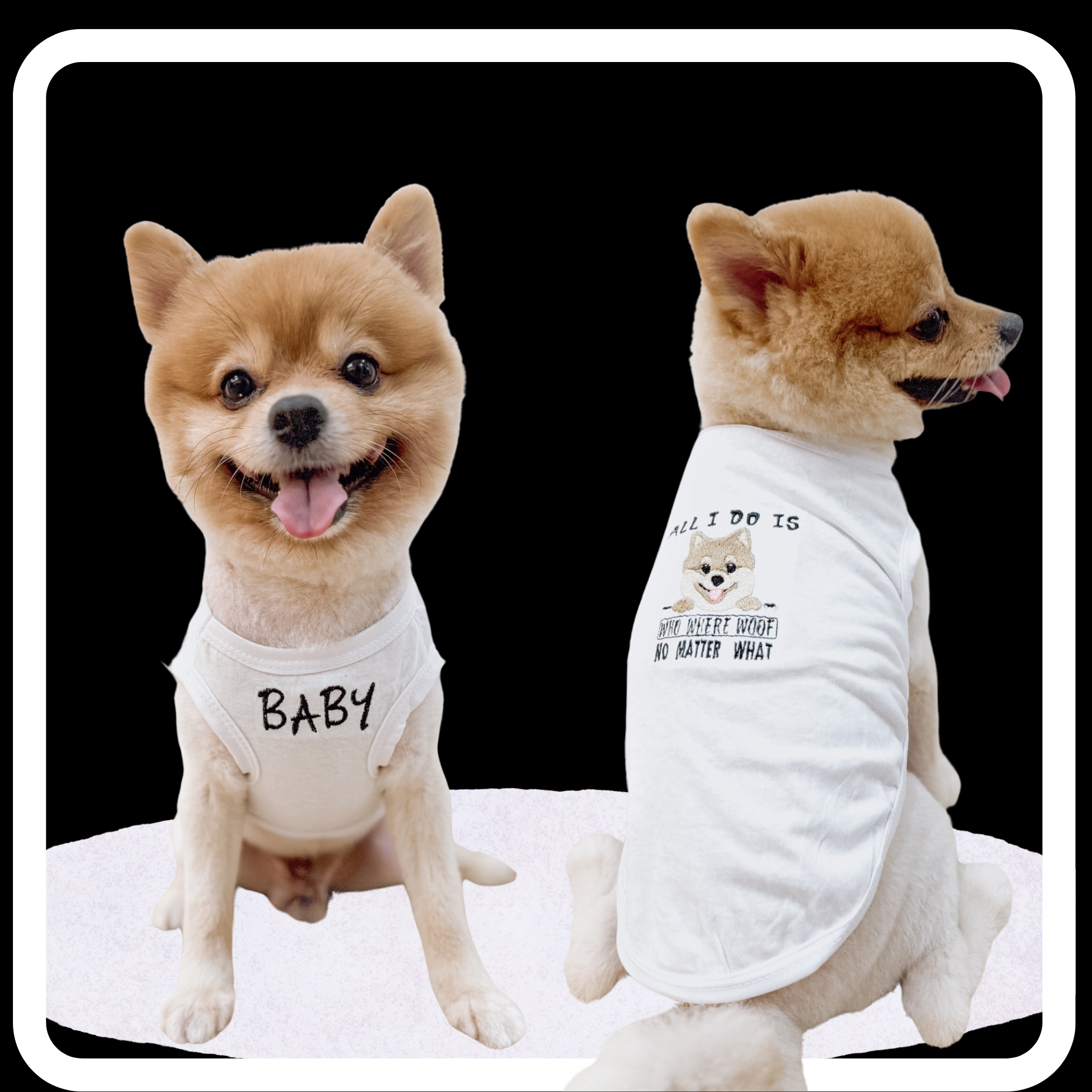 Personalized Embroidery Pet T-shirt