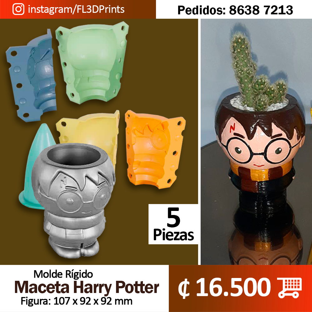 Molde Harry Potter de 5 Piezas (Molde Rígido)