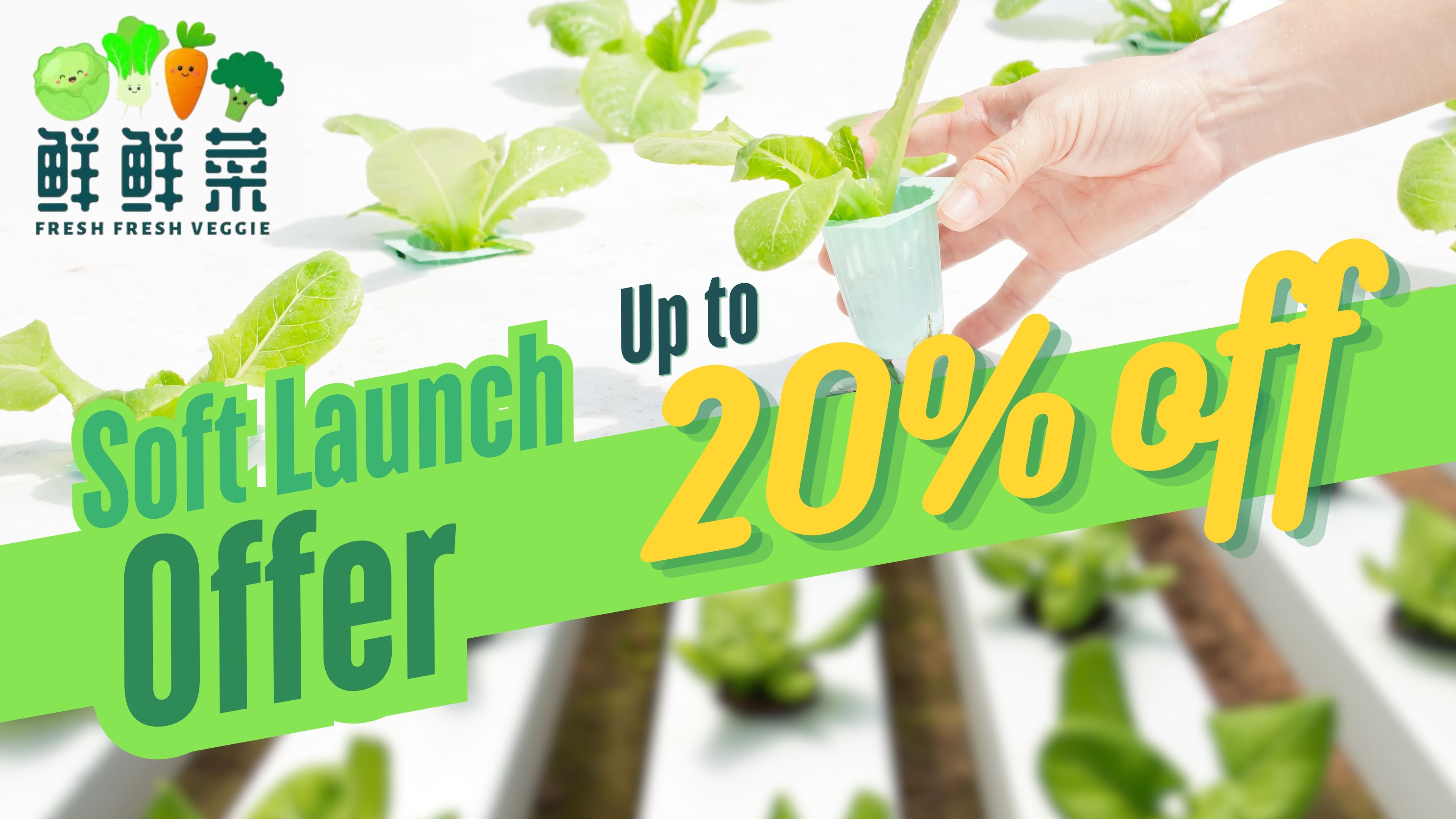 Soft Launch Offer _0