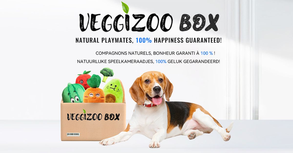 Spoil Your Pup with a Surprise Box!_0