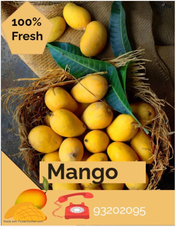 Mango Season 2025 !!_1