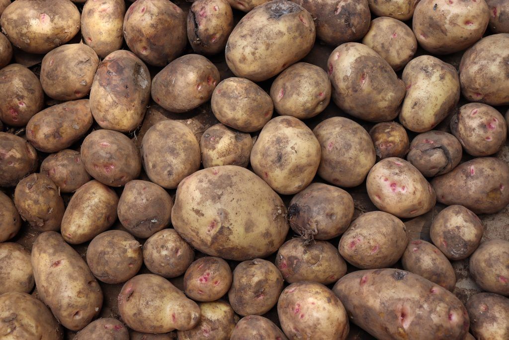 Irish potatoes