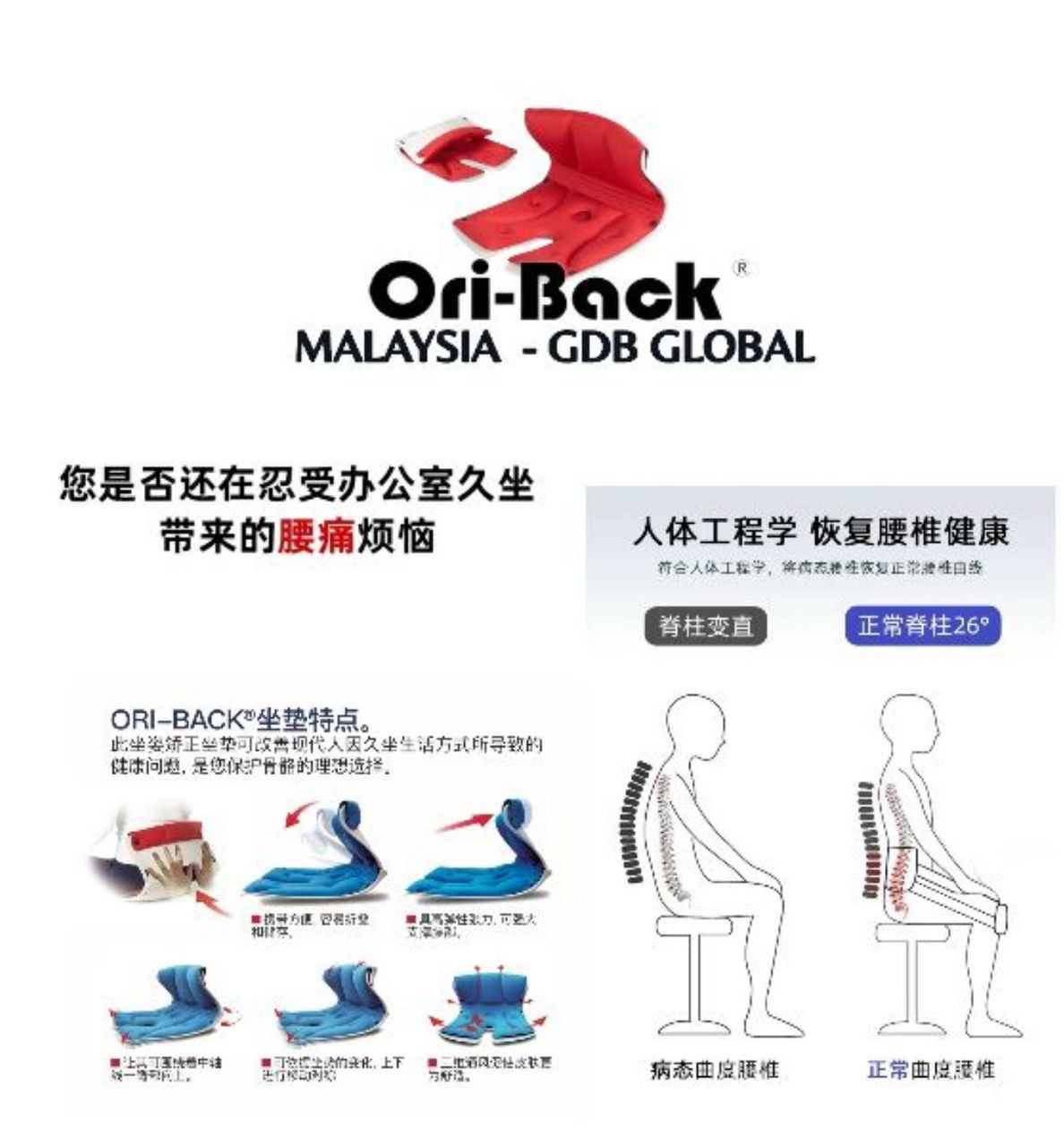 Oriback Ergonomic Chair_0