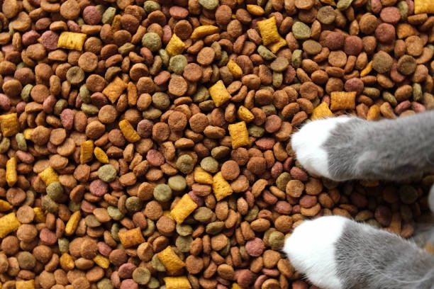 Pet food 