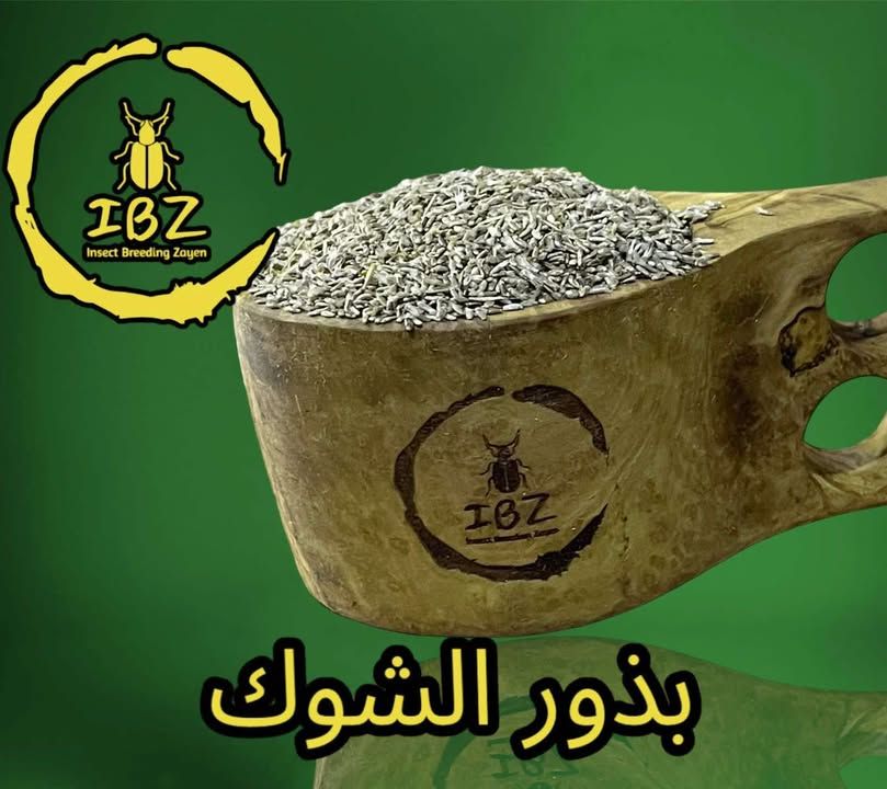 أعلاف الحسّون - 10 كغ🟩