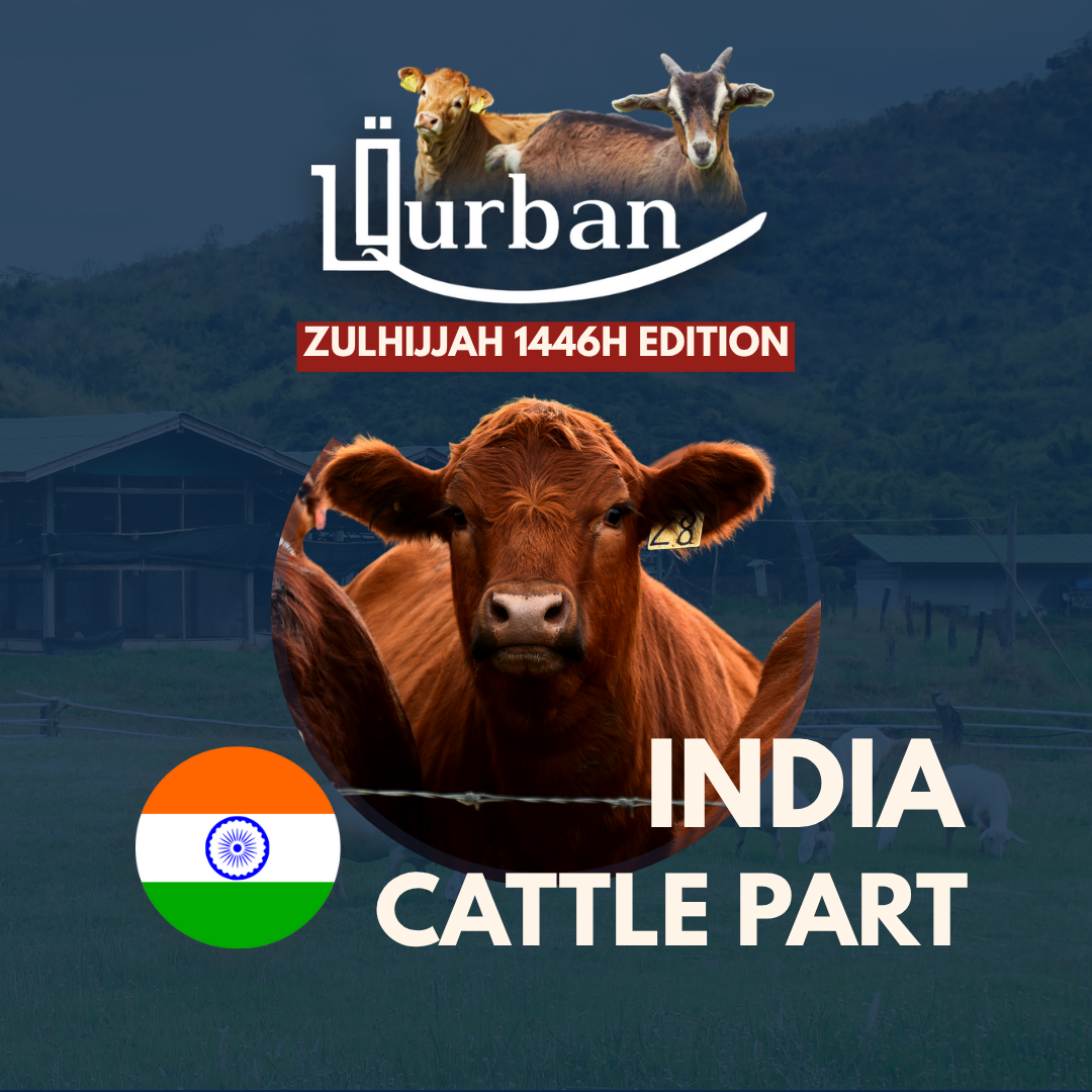 Fulfill your Qurban with us!_3