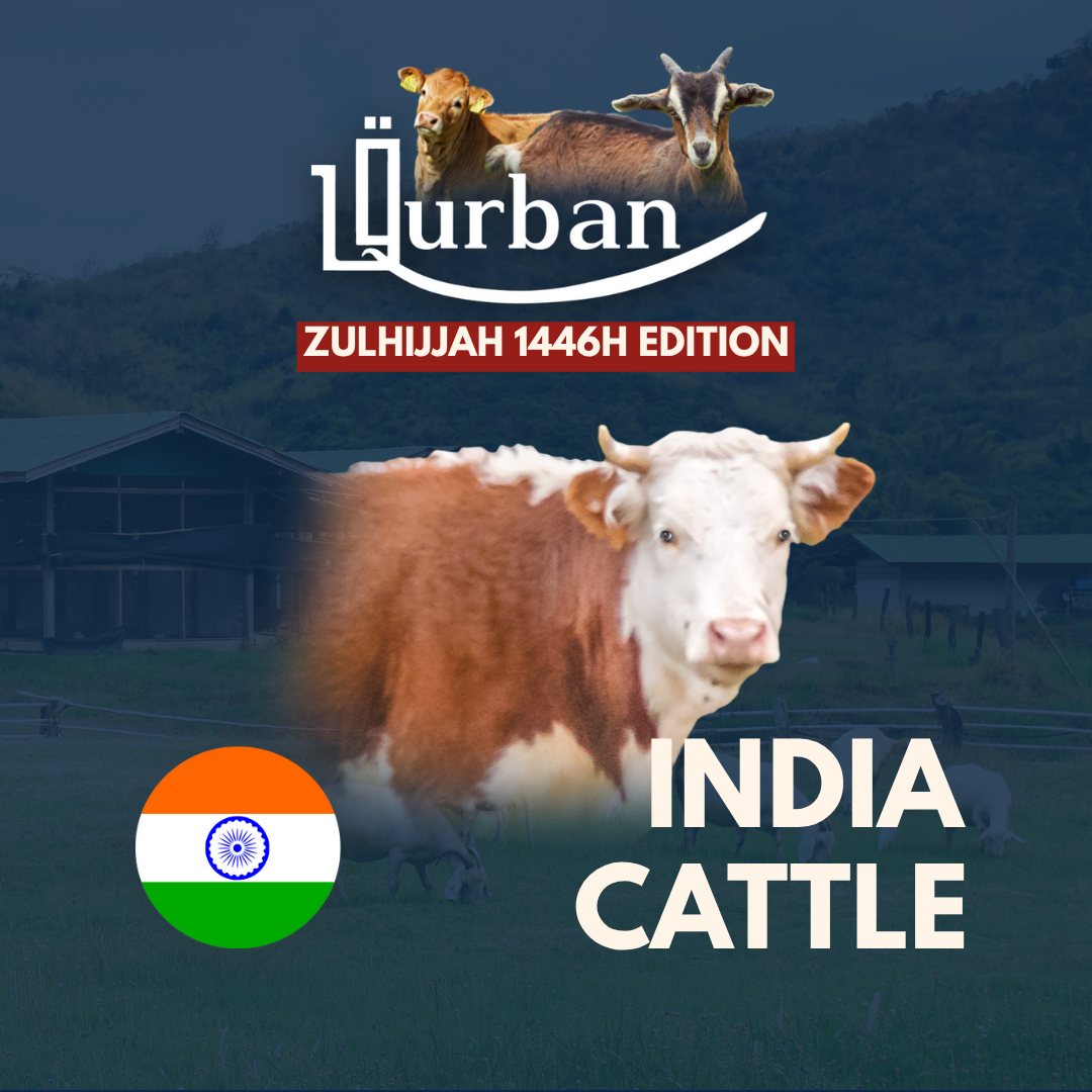 Fulfill your Qurban with us!_2