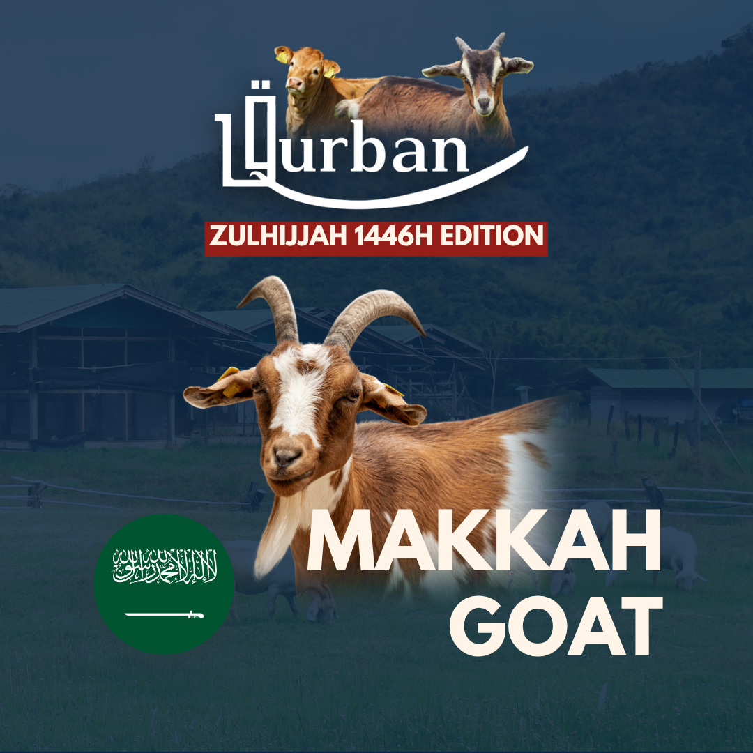 Fulfill your Qurban with us!_4