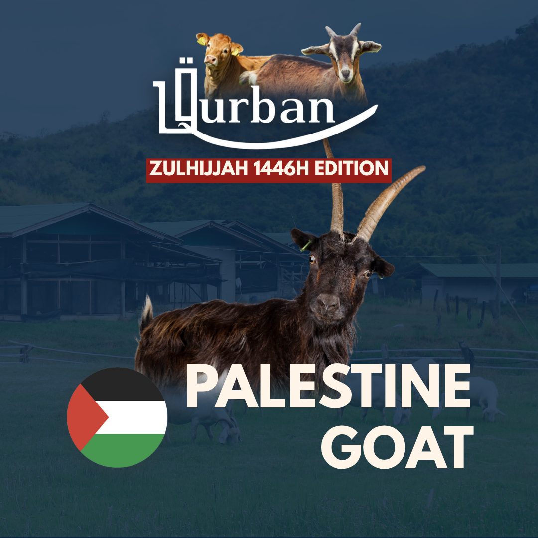 Fulfill your Qurban with us!_5