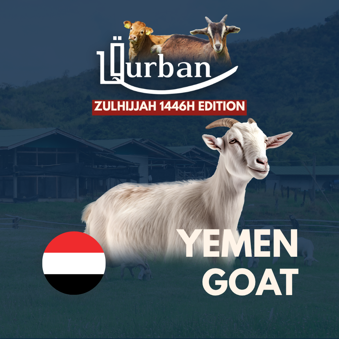 Fulfill your Qurban with us!_6