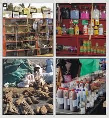 Traditional herbs - Love potions - Sex boost herbs - Witchdoctor shop_3