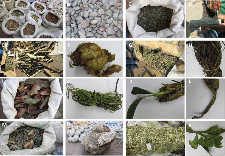 Traditional herbs - Love potions - Sex boost herbs - Witchdoctor shop_0