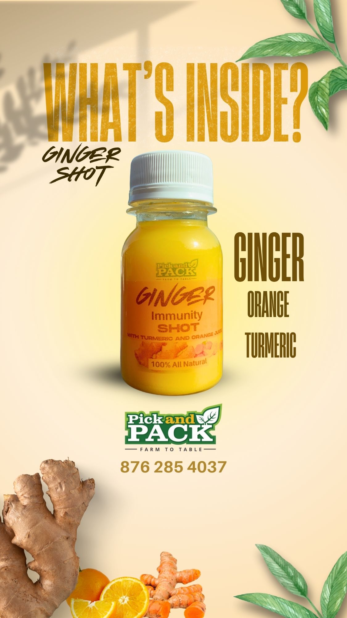 Boost your health with our Ginger Turmeric Shots! Packed with anti-inflammatory properties, these shots can help: - Reduce nausea and digestive issues - Alleviate pain and inflammation - Support immune function - Increase energy and vitality_0