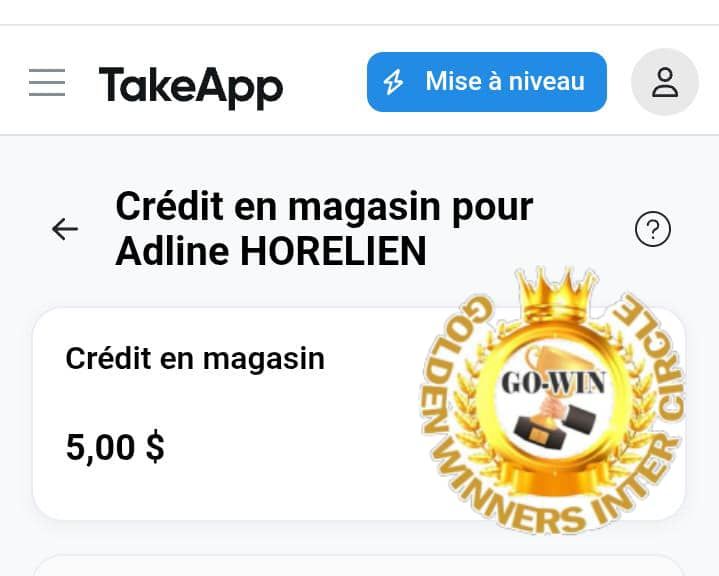 PAIEMENTS DÉJÀ EFFECTUÉS (LEVEL 1)_5