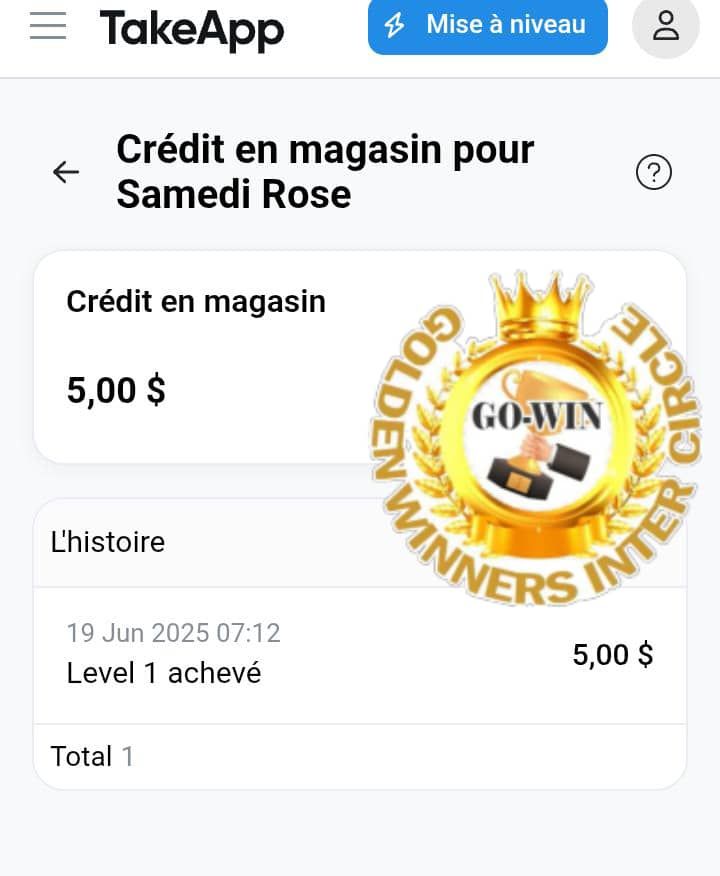 PAIEMENTS DÉJÀ EFFECTUÉS (LEVEL 1)_9