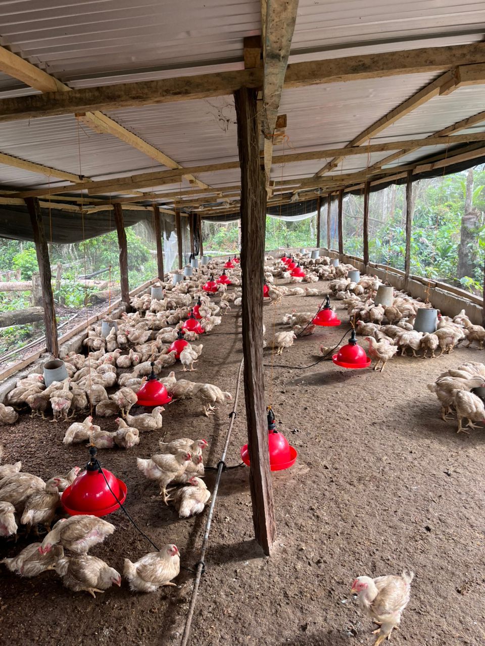 Une ferme au nomment hygiène _1